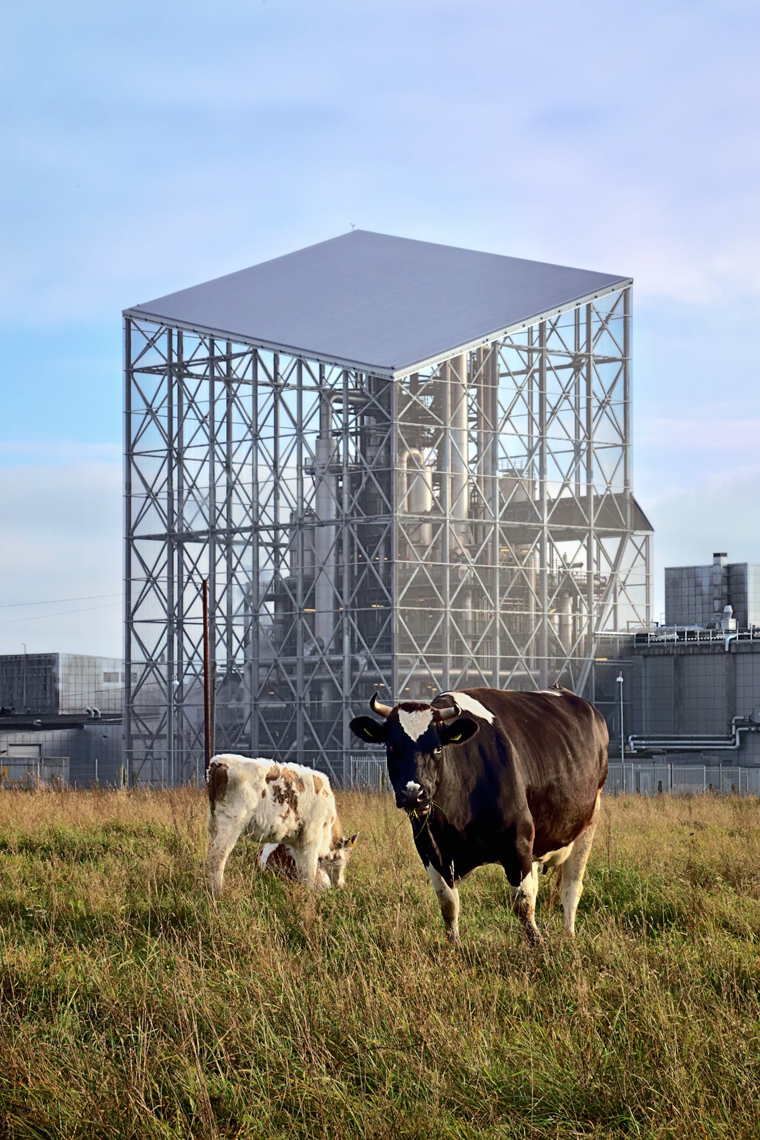 Image of Nebbelöv distillery with cows in front