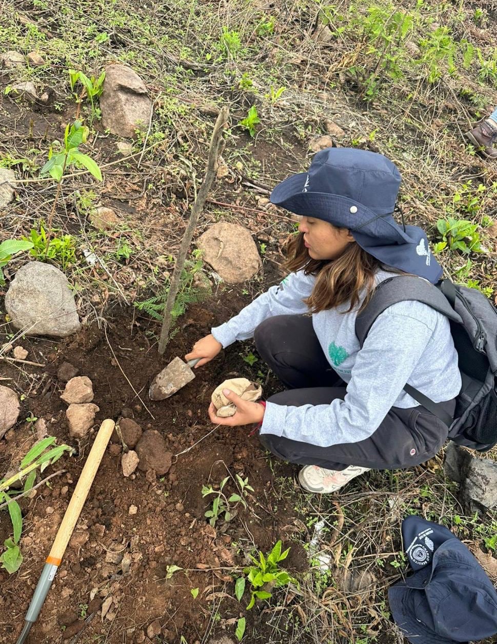 Image of Belen Carballo digging in the ground