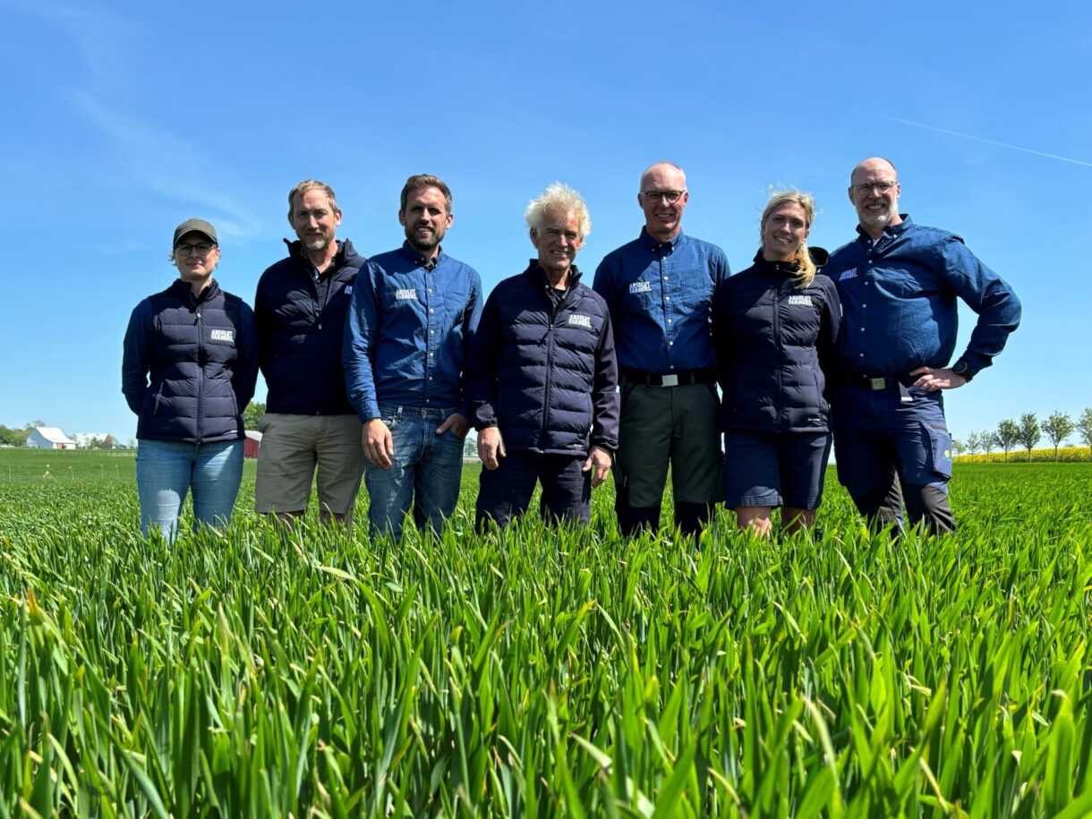 Image of farmers on wheatfield in Sweden