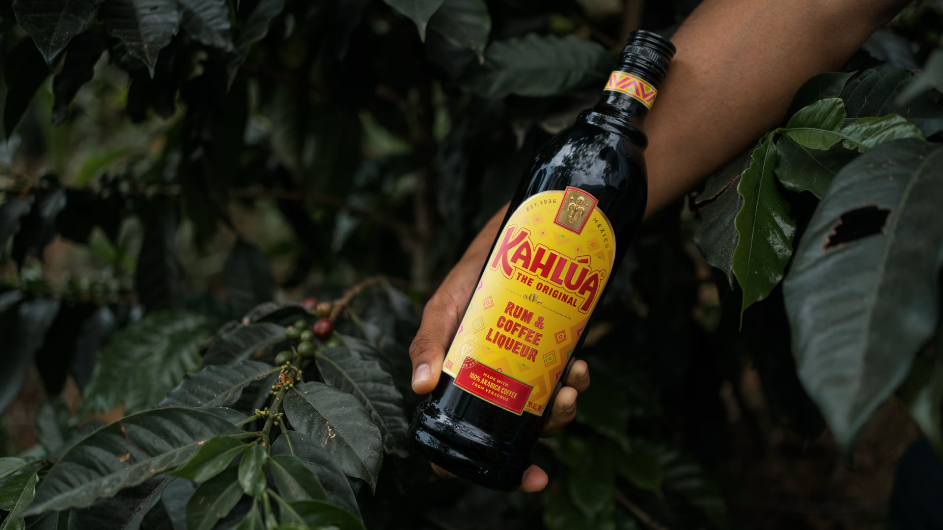 Kahlua bottle