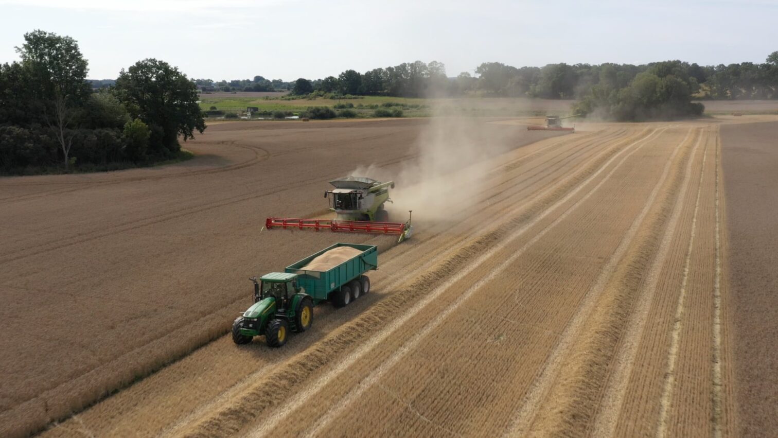 Wheat field with machines working