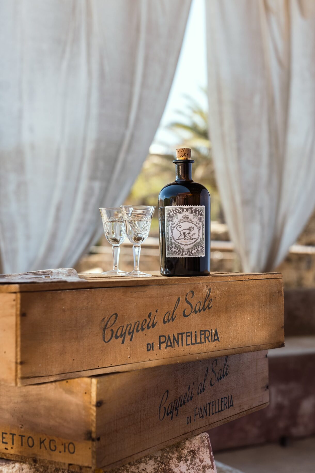 Monkey 47 bottle and glasses