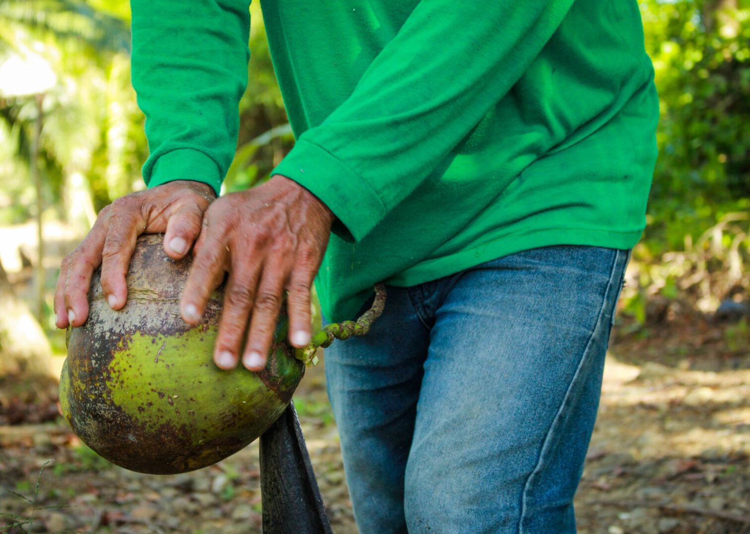Man working on coconuts